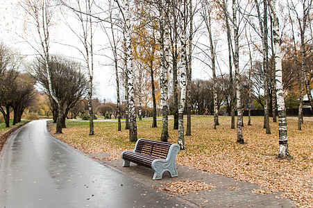 bench beside sidewalk in park thumbnail