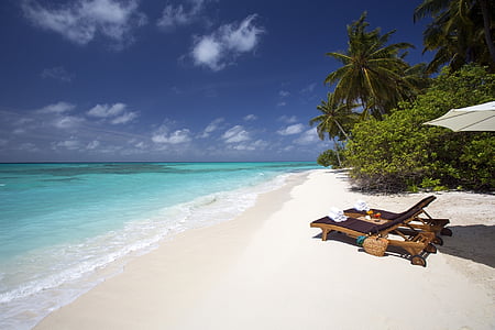two brown lounger beds near seashore thumbnail
