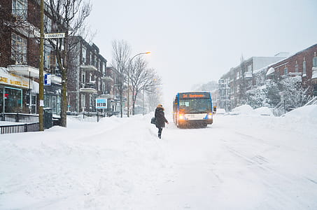person standing on snow near bus thumbnail