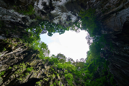 gray stone cliffs with green trees under white sky thumbnail