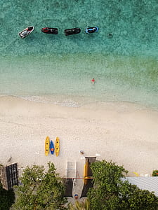 bird's eye-view photo of shoreline thumbnail
