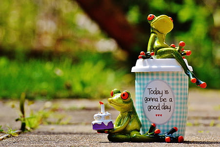 green frog figurines thumbnail