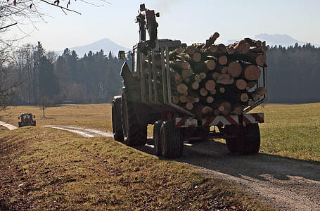 tree logs on tractor thumbnail