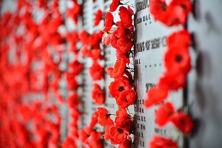 red flower decoration thumbnail