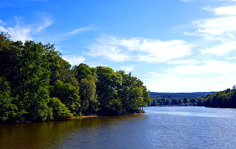 trees and river during day thumbnail