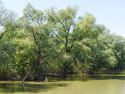 Riparian Zone, World Heritage Site thumbnail