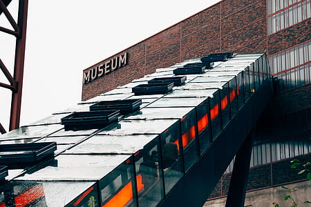 People Inside Museum thumbnail