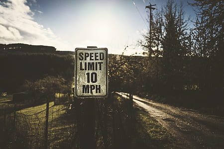 white and black street signage near tree at daytime thumbnail