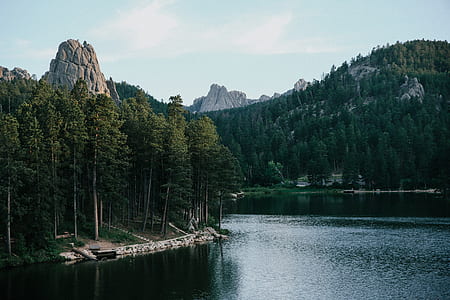 mountain and trees near lake thumbnail