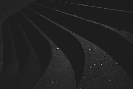 black and gray wings artwork thumbnail