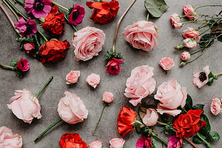 Flowers flat lay thumbnail