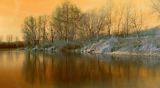 body of water and trees during sunset thumbnail