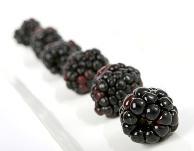 closeup photo of blackberries thumbnail