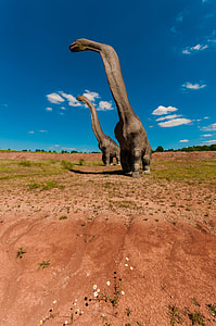 two Apatosaurus 3D model thumbnail