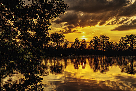 trees and body of water during dawn photography thumbnail