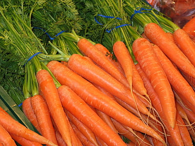 orange carrots thumbnail