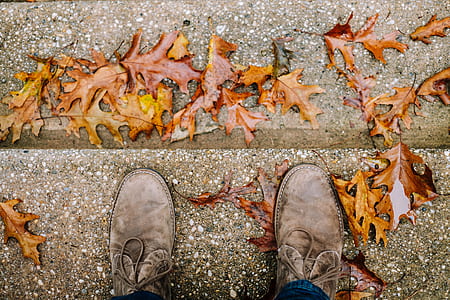 person standing on brown surface thumbnail