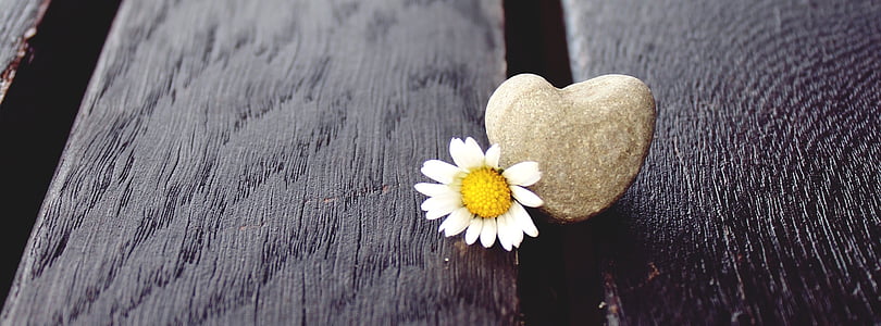 heart-shaped gray stone on wooden panels thumbnail
