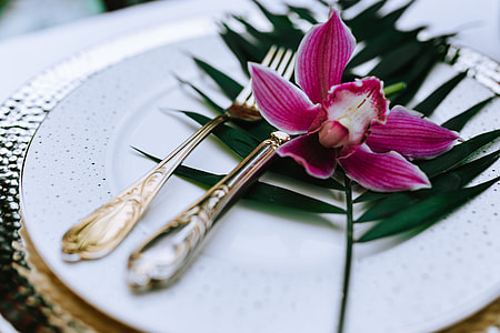 Colorful Exotic Flowers and Greenery thumbnail