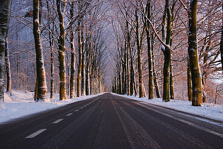 Road in the winter with trees and snow in forest thumbnail