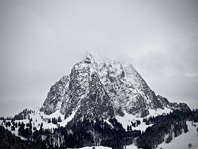 grayscale of alps thumbnail