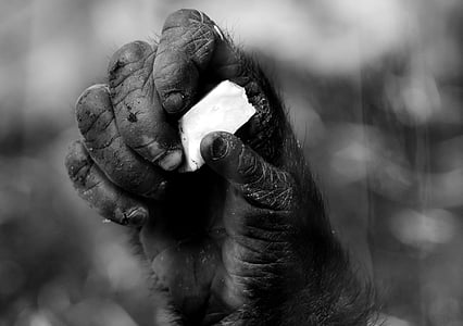 person holding paper thumbnail