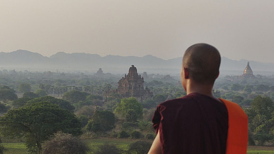 man standing beside trees thumbnail