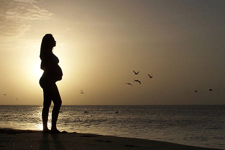 Silhouette of Pregnant Standing on Seashore during Golden Hour thumbnail