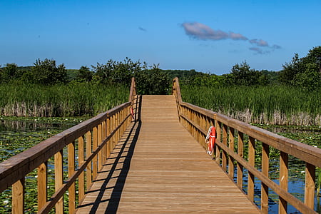 brown wooden bridge near grass field thumbnail