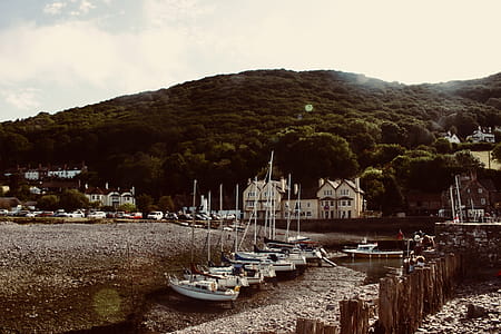 Boats on Dock Near Buildings and Green Mountain thumbnail