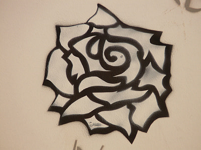 black rose drawing close up photo thumbnail