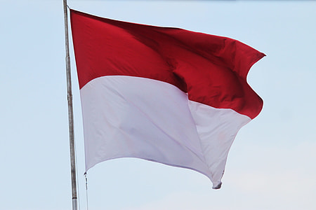 Flag, Indonesian Flag thumbnail