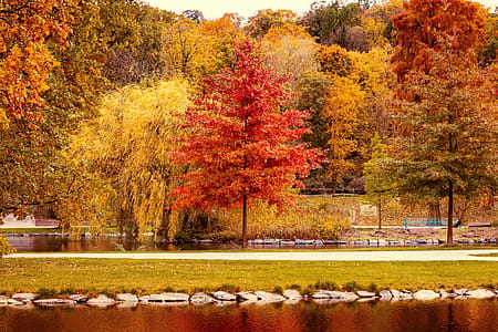 Colors of Autumn thumbnail
