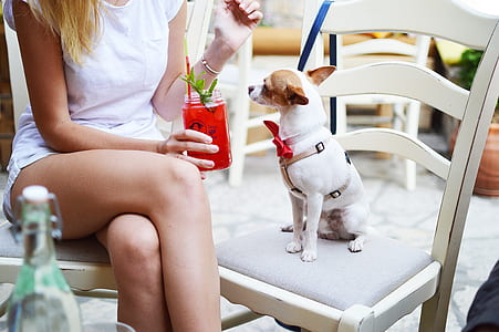 woman wearing white dress thumbnail