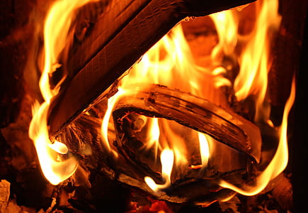 cardboard with on fire thumbnail