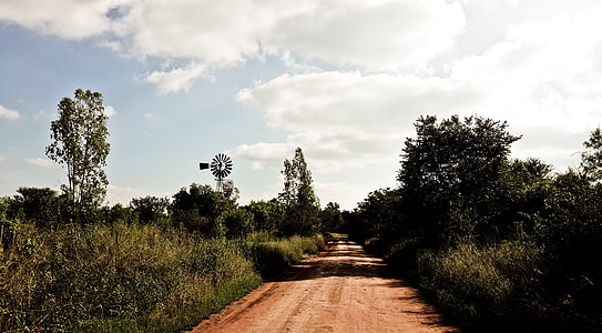 brown road in the middle of trees and grasses under sky at daytime thumbnail