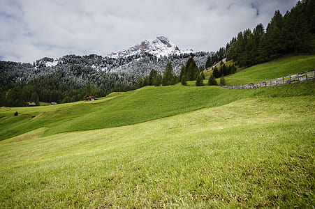 green grass field thumbnail