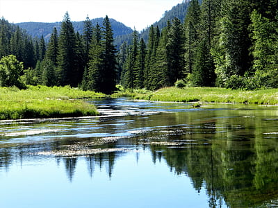 body of water near trees thumbnail