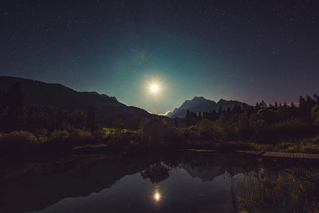 body of water surrounded with trees thumbnail