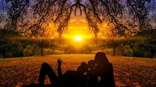 man, woman, and child sitting under leaf tree watching sunset close-up photo thumbnail
