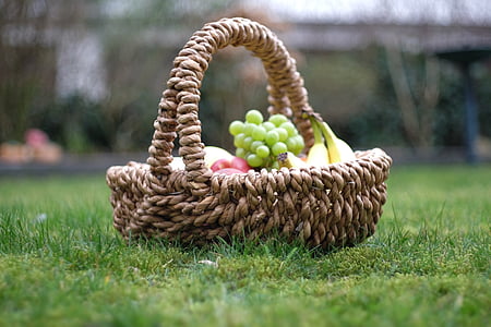 fruits in basket on yard thumbnail