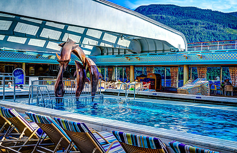 jumping black dolphin thumbnail