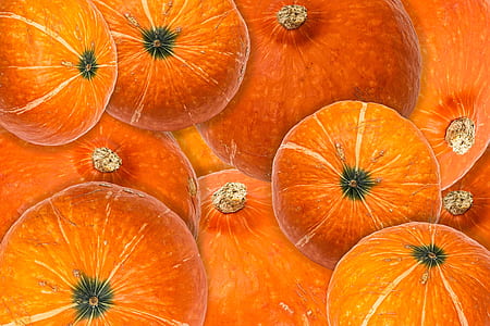 round fruits painting thumbnail