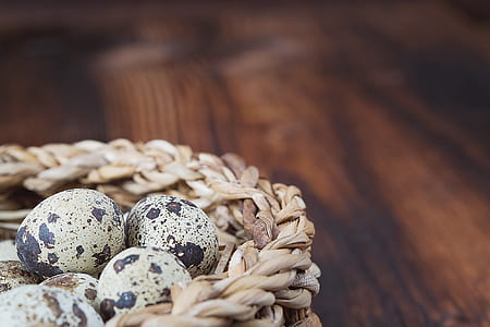 quail eggs thumbnail