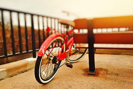 bicycle beside wooden bench thumbnail