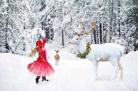 white dear on snow thumbnail