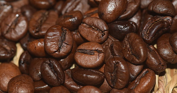 closeup photo of coffee beans thumbnail