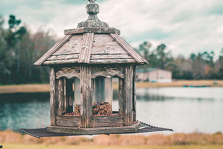 brown wooden birdcage thumbnail