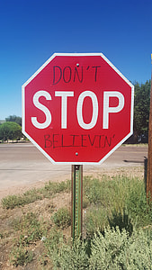red and white stop road sign near green trees thumbnail