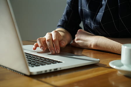 Person Using Laptop Photo thumbnail